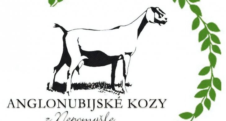 ANkozy.jpg
